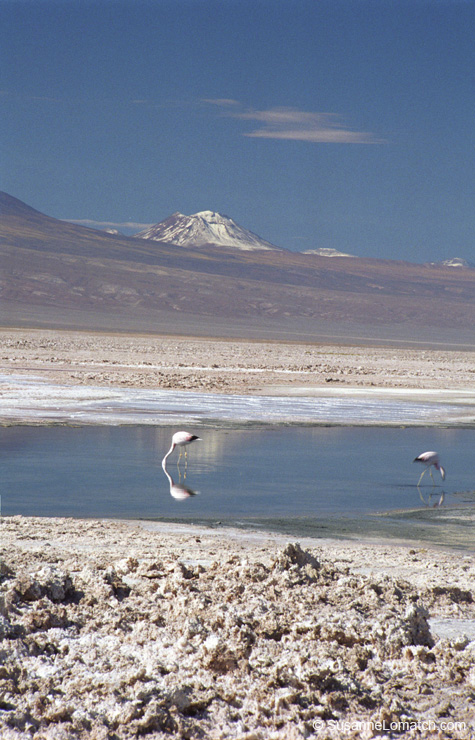 "Atacama Salt Flats #2"