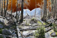 032Lake-Trees2-Exp2-0702