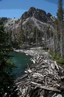 038Log-Jam-Exp1-0718