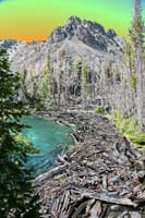 039Log-Jam-Exp2-0718