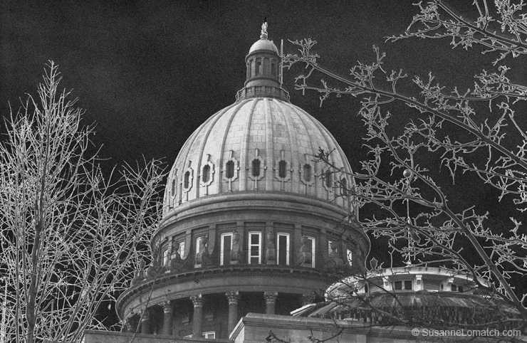 "Capitol Dome"