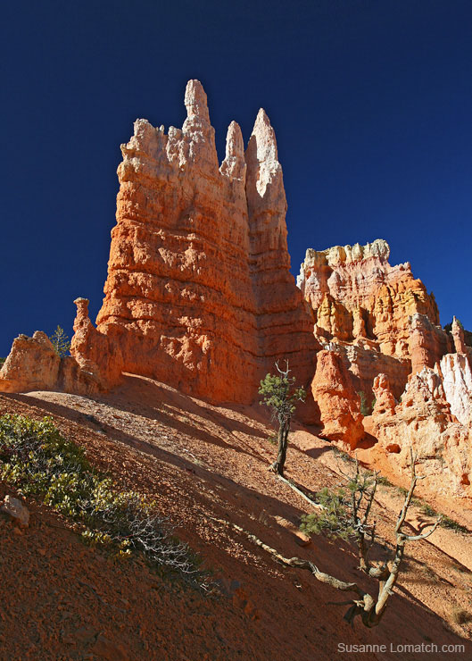 "Hoodoo Spires"