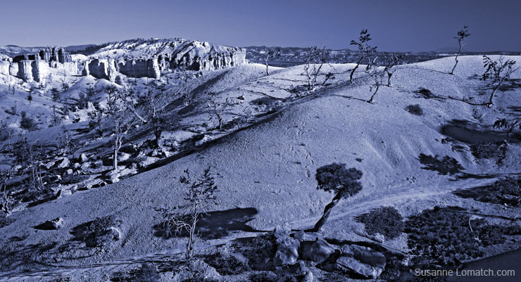 "Terra Cotta Garden"