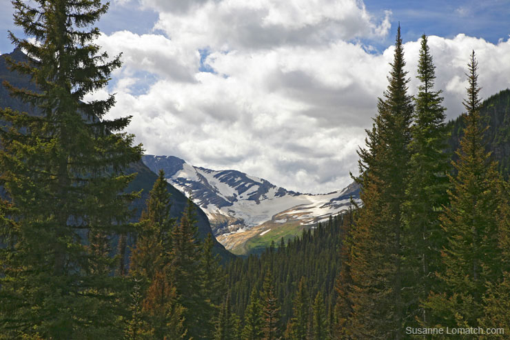 "Jackson Glacier"