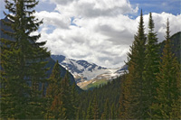 ZJacksonGlacier-6347