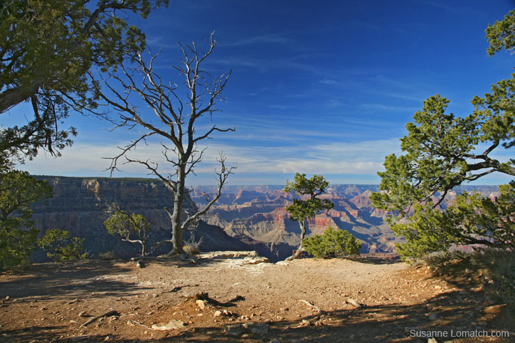 "Naked Vista Landscape"