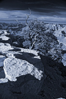 ConvergenceVib-5510-Duo3