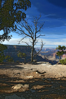 NakedVistaVib-5484-Illust