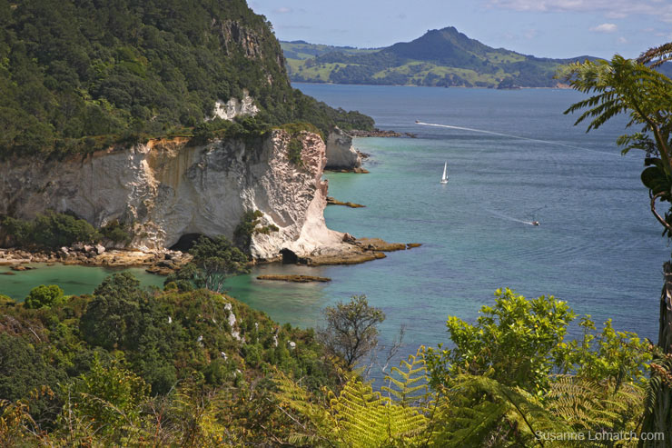 "Cathedral Cove Coast"