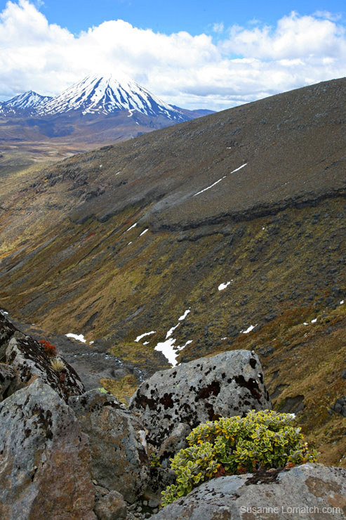 "Portrait of Ngauruhoe From Ruapehu"