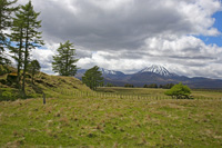 Ngauruhoe-1650