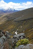 NgauruhoeRuapehu-1689