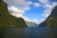 MilfordClearing-2740