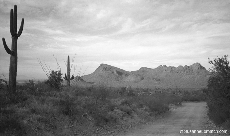 "Sonoran Road"